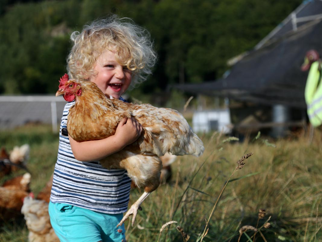 Lachendes Kind trägt ein Huhn auf dem Tiggeshof in Arnsberg