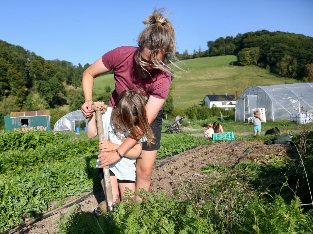 Erwachsene und Kind ernten gemeinsam Gemüse auf dem Acker des Tiggeshofs