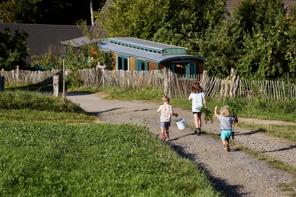 Drei Kinder laufen mit Eimern über den Feldweg des Tiggeshofs