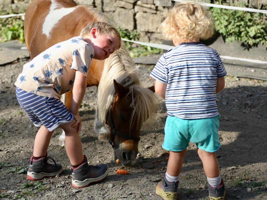 Zwei Kinder füttern ein Pony mit Möhren auf dem Tiggeshof