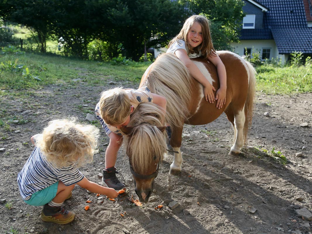 Kinder füttern ein Pony auf dem Tiggeshof in Arnsberg-Ainkhausen