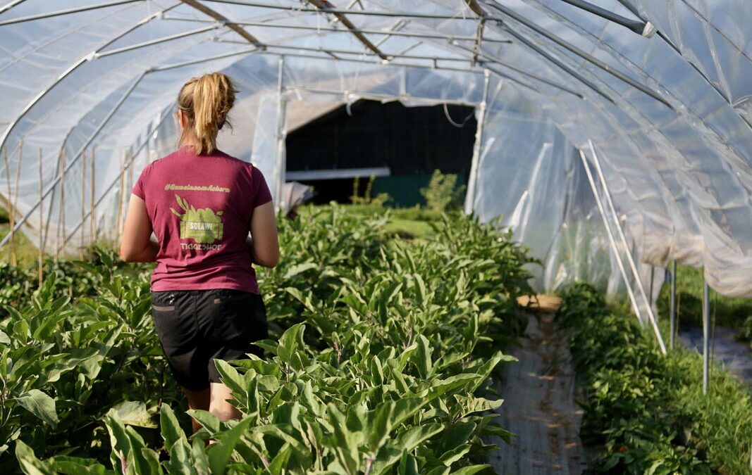 Stellenangebot: Freiwilliges Ökologisches Jahr (FÖJ), 2 Plätze