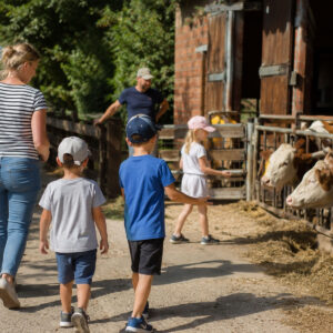 Familiennachmittag in den Ferien auf dem Tiggeshof im Sauerland