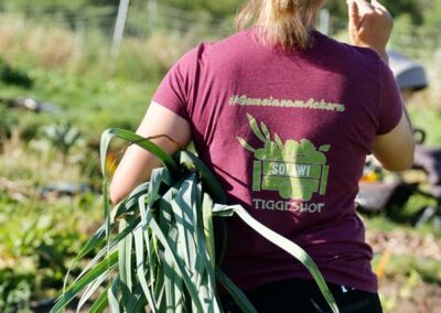 Frisch geerntetes Bio-Gemüse aus der Solawi des Tiggeshofs im Sauerland